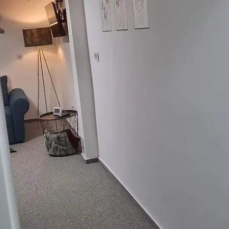 Pp's Under Tampa Apartment