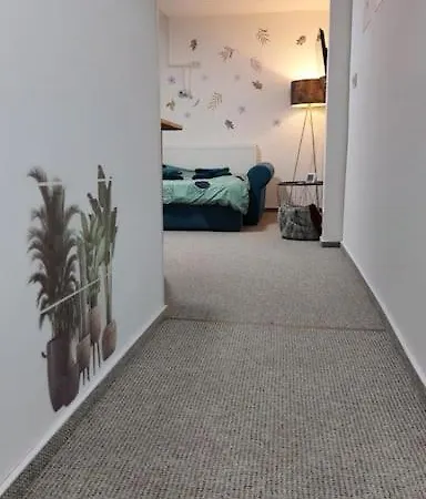 Pp's Under Tampa Apartment